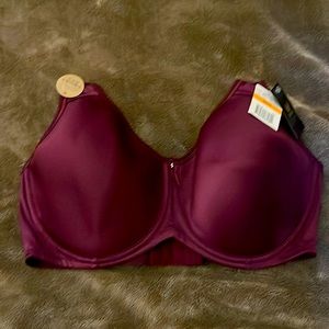 Wacoal NWT eggplant sheen t-shirt bra size 40DD
